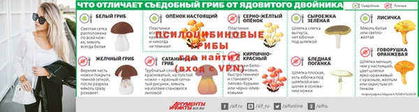 гидра Арсеньев