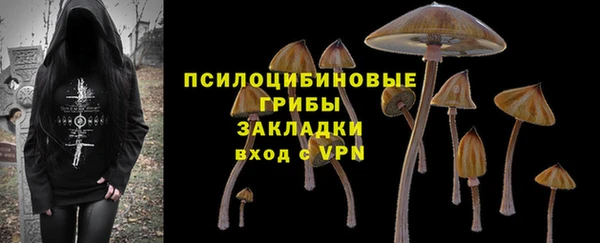 гидра Арсеньев