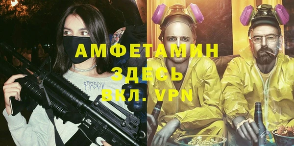 гидра Арсеньев