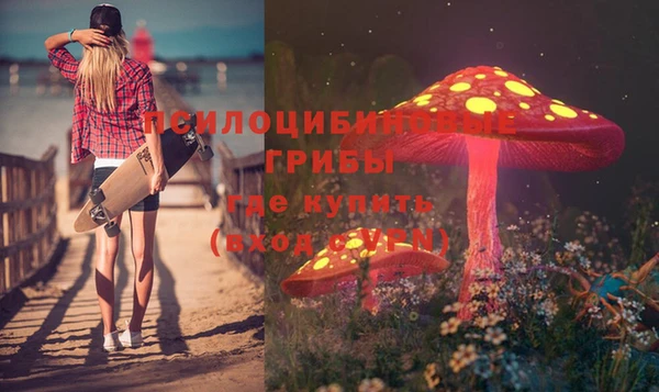 мет Балахна